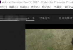 视频怎么p,跟随P生成技术探索视觉艺术新境界